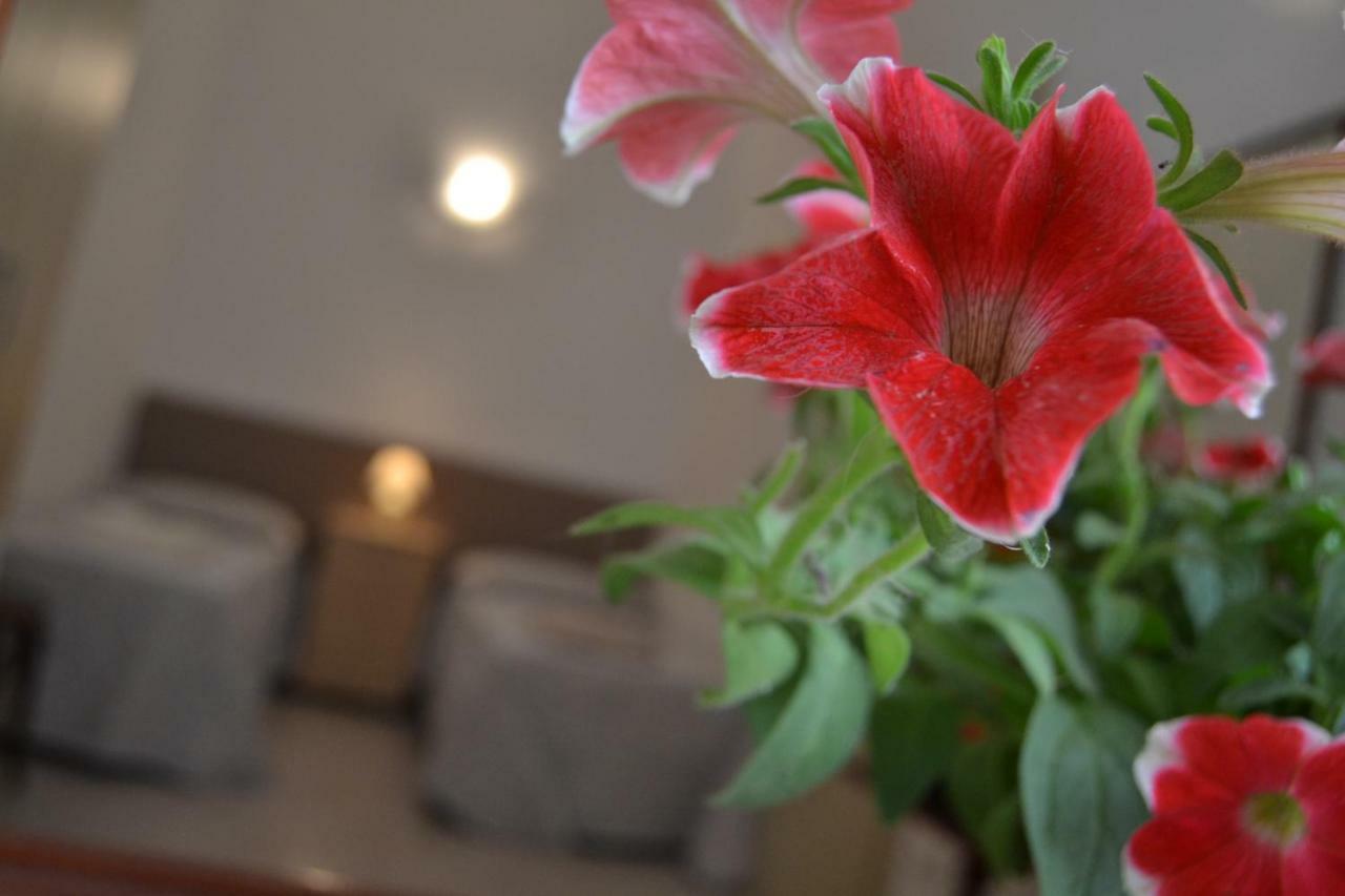 I Due Tesori Bed and Breakfast San Cesario di Lecce Exteriör bild